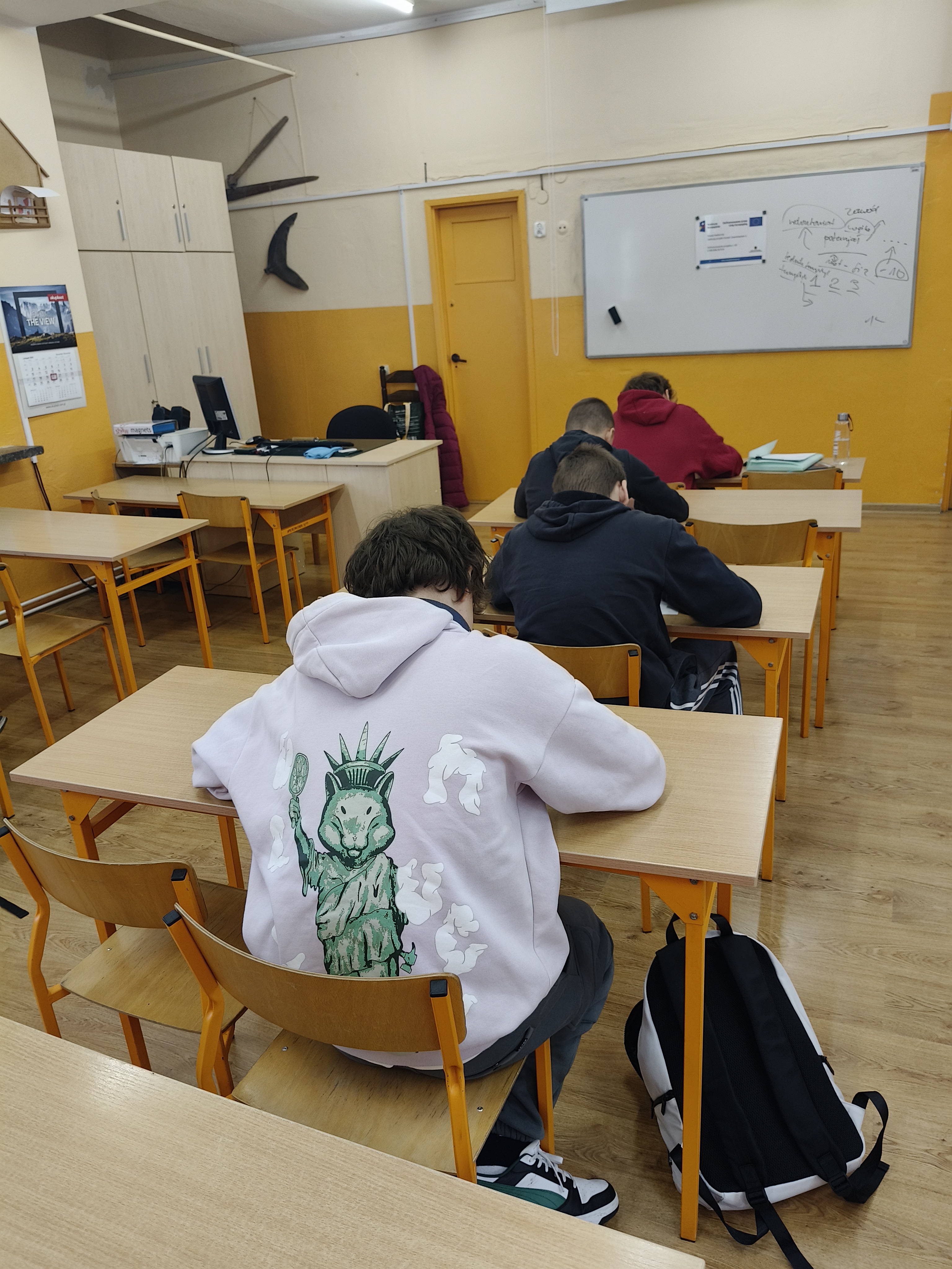 Zdjęcie przedstawia uczniów siedzących w ławkach i pracujących indywidualnie na arkuszu ćwiczeniowym służącym do analizy potencjału 